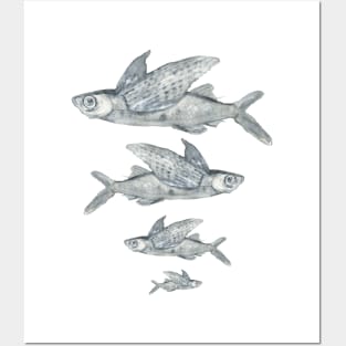 Flying fish Posters and Art